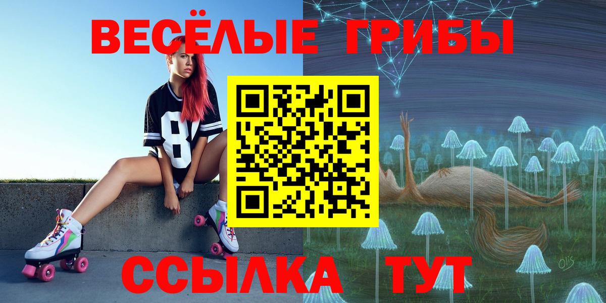 закладки  Галлюциногенные грибы Magic Shrooms  Нарткала  Вход с VPN  Галлюциногенные грибы GOLDEN TEACHER 