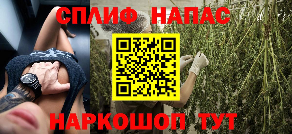 Каннабис план Нарткала